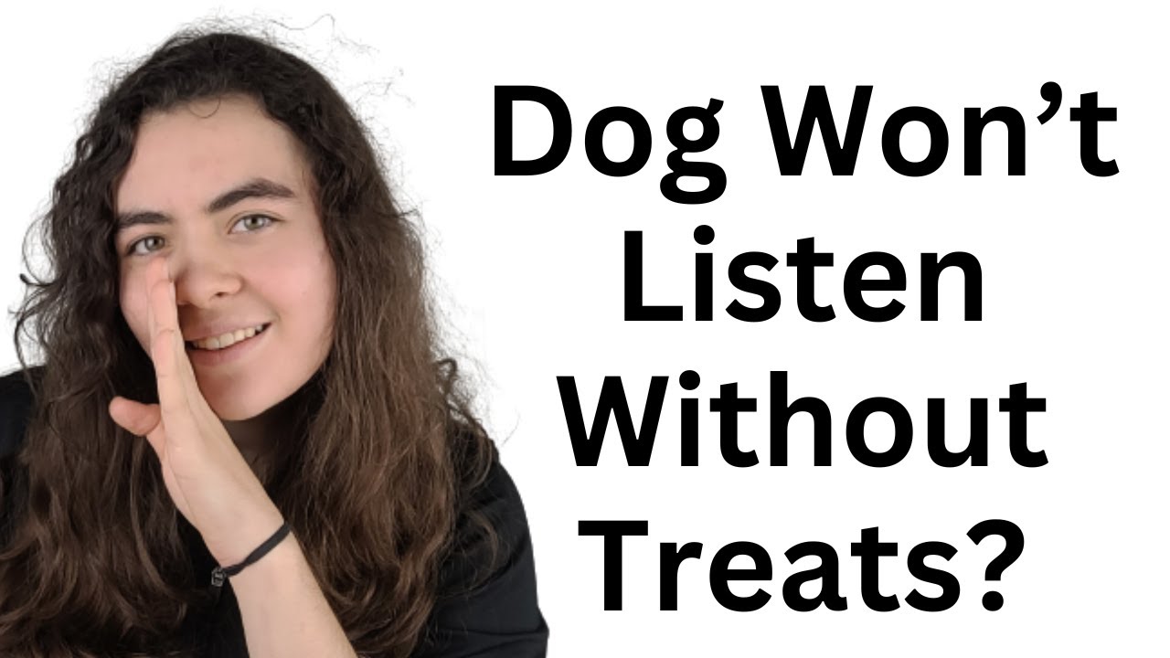 My Puppy Only Listens With Treats - 3 Ways To Solve This