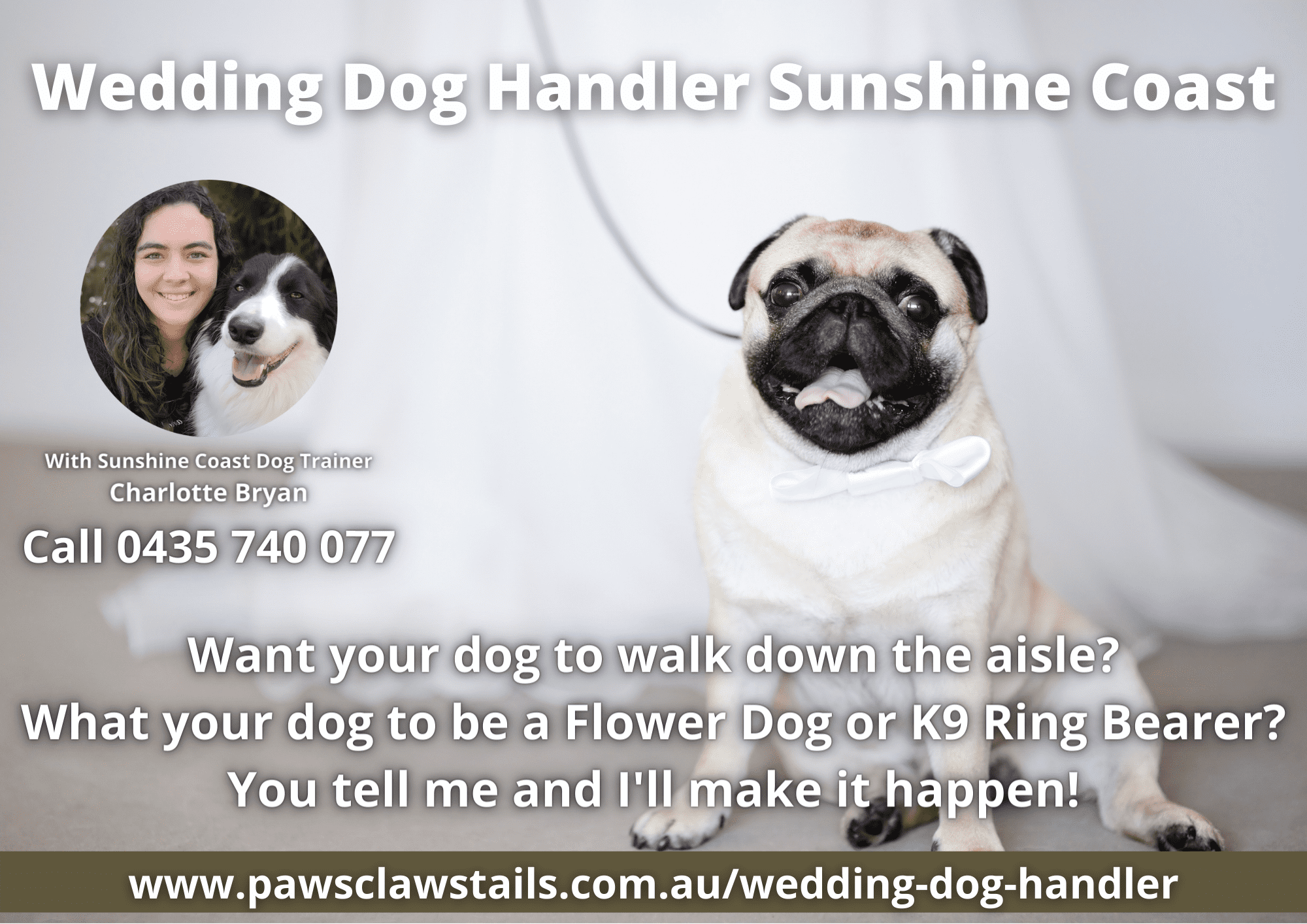 Sunshine Coast Dog Handler For Wedding