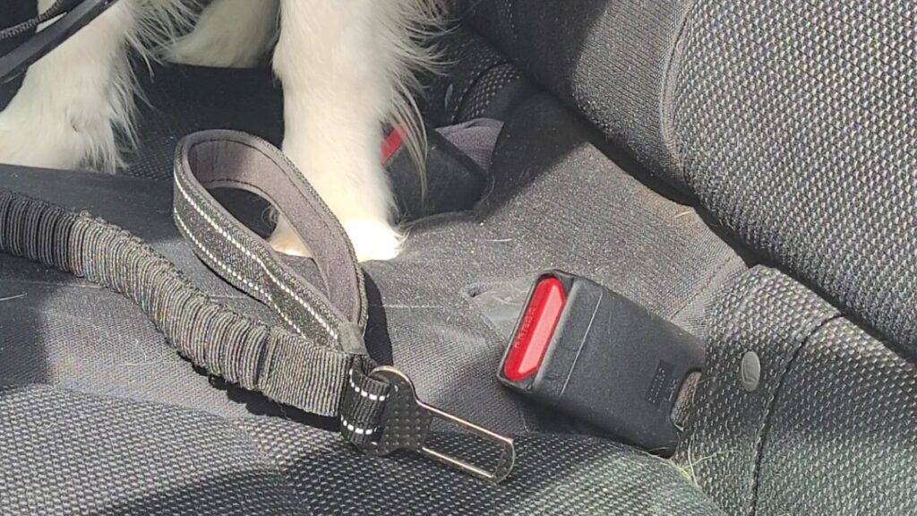 Dog Car Seatbelt & Dog Leash All in one- The OneLeash - The Ultimate Dog Leash