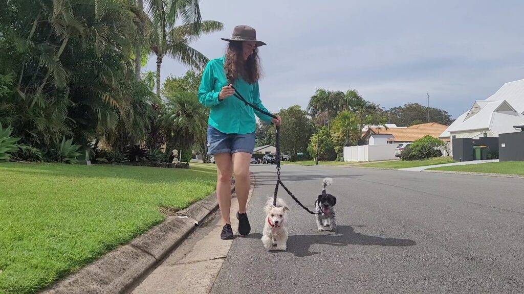 Double Dog Leash - The OneLeash - The Ultimate Dog Leash