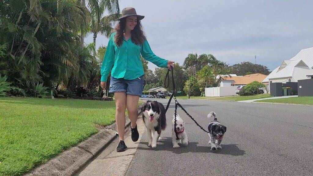 Triple Dog Leash - The OneLeash - The Ultimate Dog Leash