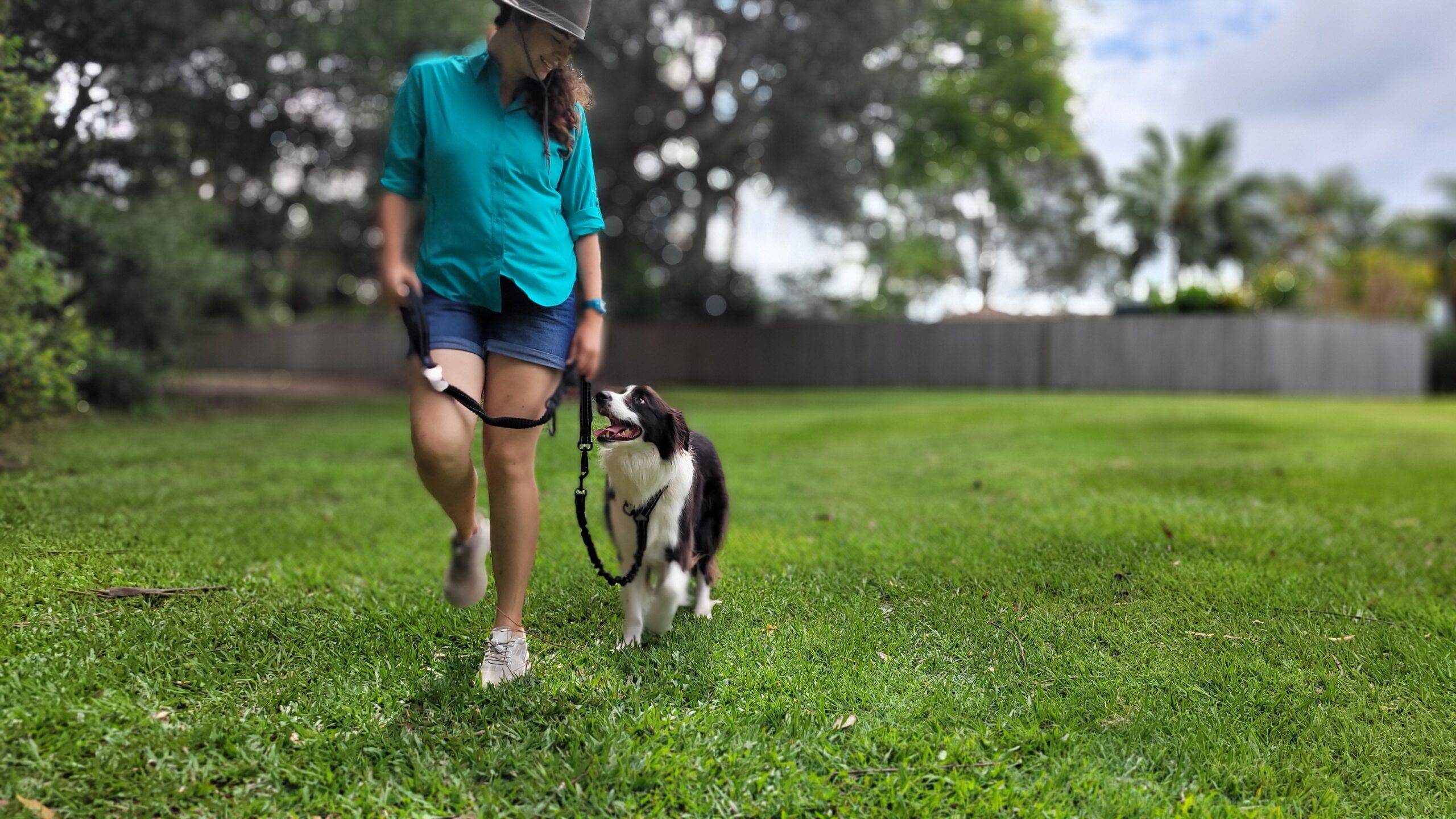 OneTigris Reflective Dog Leash Coupler Adjustable Double Leash for One/Two Dog Training Walking Hiking