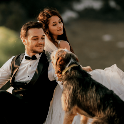 Wedding Dog Handler Sunshine Coast