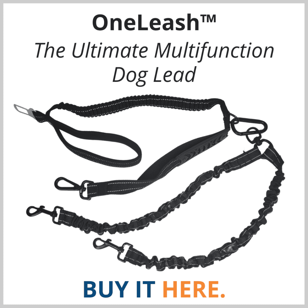 Buy Your OneLeash here