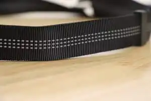 Charlotte Bryan Treat Bag - Reflective Belt Strap