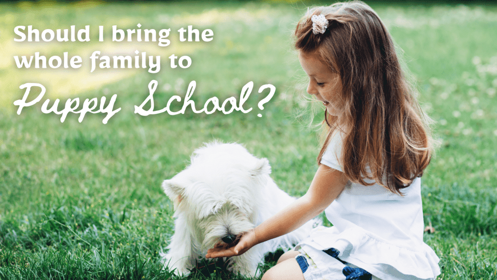 Who should I bring to puppy school? Should I bring the whole family to puppy school?