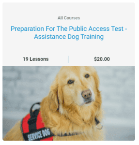 Preparation For The Public Access Test - Assistance Dog Training