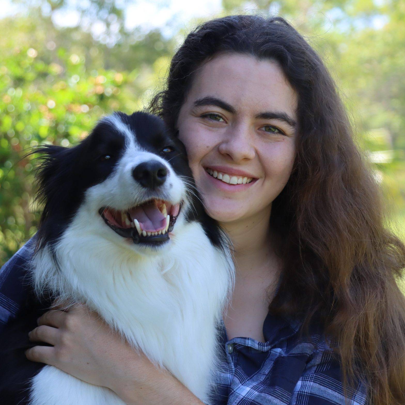 Private Dog Training Sunshine Coast 3 Paws Claws & Tails Charlotte