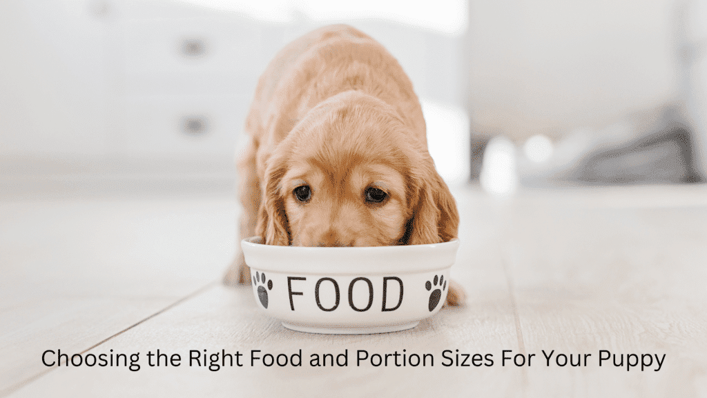 Feeding Your Puppy Choosing the Right Food and Portion Sizes Paws Claws & Tails Charlotte Bryan