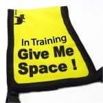 Black Dog "Give Me Space" Awareness Vest for Dogs