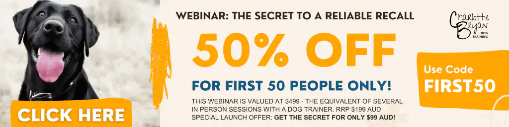 teach dog to come when called - a webinar from a dog behaviourist - get 50% off