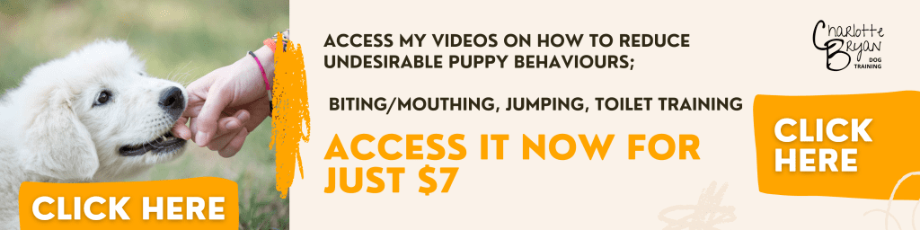 stop puppy biting mouthing jumping toilet accidents - for just $7