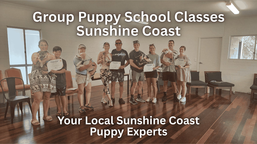 puppy-school-sunshine-coast-charlotte-bryan-group-puppy-classes